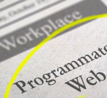 sviluppatore web biella