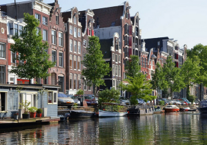 amsterdam laravel developer