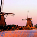 aprire impresa in olanda