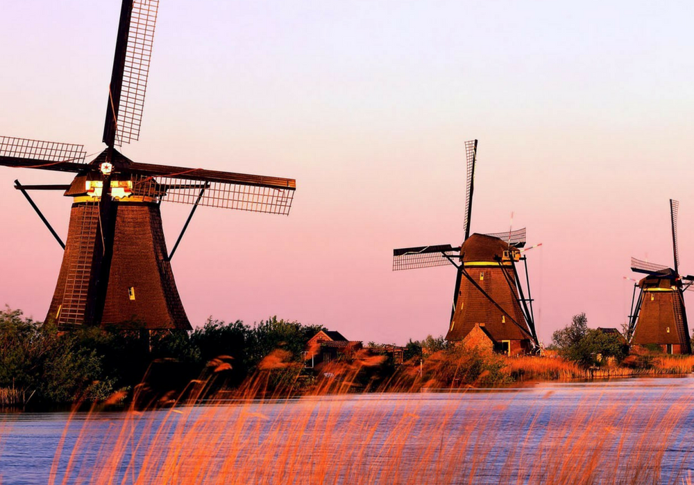 Aprire una start up in Olanda: le cose che devi sapere