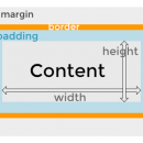 box model