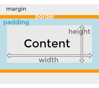 box model