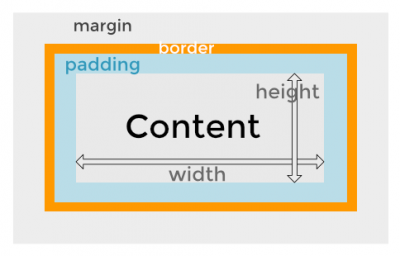 box model