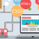 sviluppo web