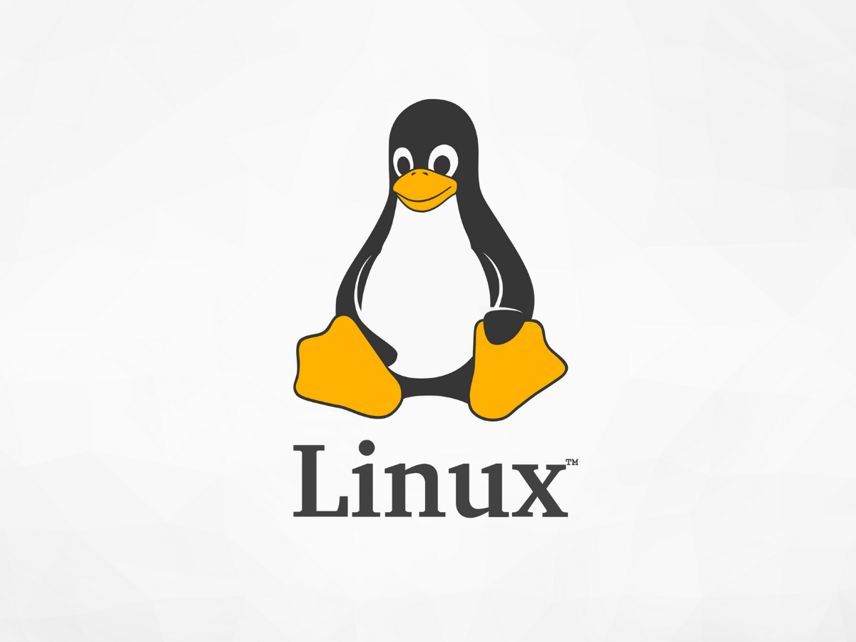 Corso Linux e altre fantastiche novità