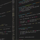 developer
