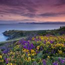 stipendio medio sviluppatore irlanda