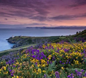 stipendio medio sviluppatore irlanda