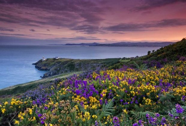 stipendio medio sviluppatore irlanda