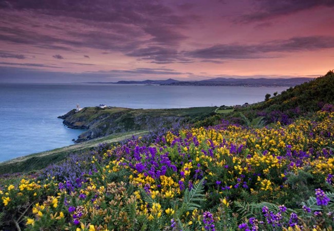 Stipendio medio Sviluppatore in Irlanda