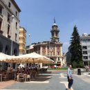 sviluppatore php varese